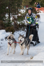 Class D Racing Team in the 30th Siberian Husky Club of GB Arden Grange Aviemore Sled Dog Rally 2013