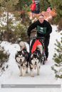 Class D2 Racing Team in the 30th Siberian Husky Club of GB Arden Grange Aviemore Sled Dog Rally 2013