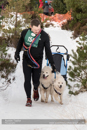 Class D2 Racing Team in the 30th Siberian Husky Club of GB Arden Grange Aviemore Sled Dog Rally 2013