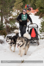 Class D2 Racing Team in the 30th Siberian Husky Club of GB Arden Grange Aviemore Sled Dog Rally 2013