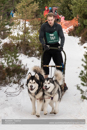 Class D2 Racing Team in the 30th Siberian Husky Club of GB Arden Grange Aviemore Sled Dog Rally 2013