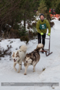 Class D2 Racing Team in the 30th Siberian Husky Club of GB Arden Grange Aviemore Sled Dog Rally 2013