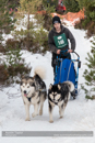 Class D2 Racing Team in the 30th Siberian Husky Club of GB Arden Grange Aviemore Sled Dog Rally 2013