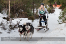 Class D2 Racing Team in the 30th Siberian Husky Club of GB Arden Grange Aviemore Sled Dog Rally 2013