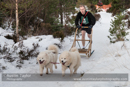 Class D2 dog sled racing team