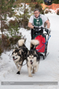 Class D2 Racing Team in the 30th Siberian Husky Club of GB Arden Grange Aviemore Sled Dog Rally 2013