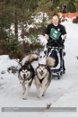 Class D2 Racing Team in the 30th Siberian Husky Club of GB Arden Grange Aviemore Sled Dog Rally 2013