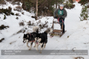 Class D2 Racing Team in the 30th Siberian Husky Club of GB Arden Grange Aviemore Sled Dog Rally 2013
