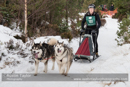 Class D2 Racing Team in the 30th Siberian Husky Club of GB Arden Grange Aviemore Sled Dog Rally 2013