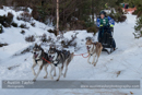 Class E Racing Team in the 30th Siberian Husky Club of GB Arden Grange Aviemore Sled Dog Rally 2013