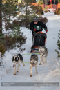 Class E Racing Team in the 30th Siberian Husky Club of GB Arden Grange Aviemore Sled Dog Rally 2013