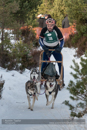 Class E Racing Team in the 30th Siberian Husky Club of GB Arden Grange Aviemore Sled Dog Rally 2013