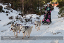 Class E Racing Team in the 30th Siberian Husky Club of GB Arden Grange Aviemore Sled Dog Rally 2013