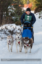 Class E Racing Team in the 30th Siberian Husky Club of GB Arden Grange Aviemore Sled Dog Rally 2013