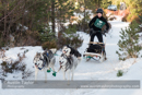 Class E Racing Team in the 30th Siberian Husky Club of GB Arden Grange Aviemore Sled Dog Rally 2013