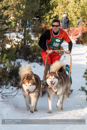 Class E2 Racing Team in the 30th Siberian Husky Club of GB Arden Grange Aviemore Sled Dog Rally 2013