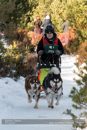 Class E2 Racing Team in the 30th Siberian Husky Club of GB Arden Grange Aviemore Sled Dog Rally 2013