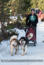 Class E2 Racing Team in the 30th Siberian Husky Club of GB Arden Grange Aviemore Sled Dog Rally 2013