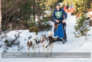 Class E2 Racing Team in the 30th Siberian Husky Club of GB Arden Grange Aviemore Sled Dog Rally 2013