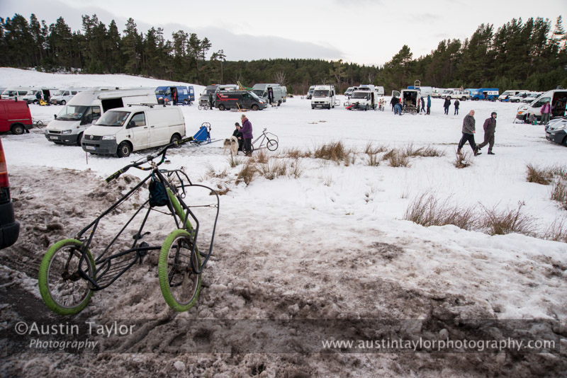 Aviemore Sled Dog Rally 2013
