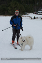 At the 30th Siberian Husky Club of GB Arden Grange Aviemore Sled Dog Rally 2013