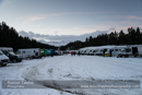 At the 30th Siberian Husky Club of GB Arden Grange Aviemore Sled Dog Rally 2013