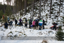 At the 30th Siberian Husky Club of GB Arden Grange Aviemore Sled Dog Rally 2013