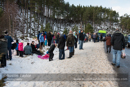 At the 30th Siberian Husky Club of GB Arden Grange Aviemore Sled Dog Rally 2013