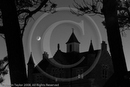 Islesburgh, trees + earthshine Moon (B/W)