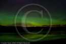 Aurora at Nesting 28 March 2008