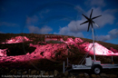 Mirrie Dancers Illuminations - Tin Shed, Haroldswick, Unst