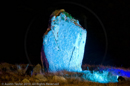 Mirrie Dancers Illuminations - Giant's Grave, Lochend, Northmavine