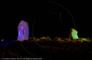 Mirrie Dancers Illuminations - Giant's Grave, Lochend, Northmavine