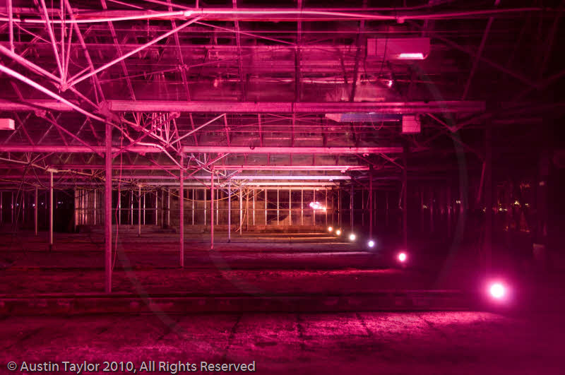 Mirrie Dancers Illuminations - Glasshouses, Tingwall