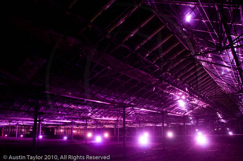 Mirrie Dancers Illuminations - Glasshouses, Tingwall
