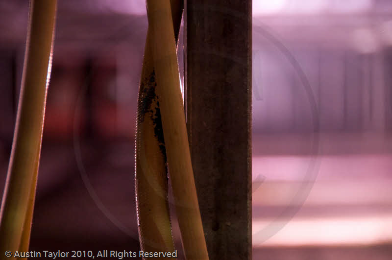 Mirrie Dancers Illuminations - Glasshouses, Tingwall