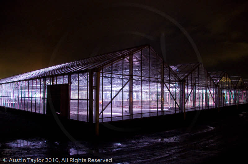 Mirrie Dancers Illuminations - Glasshouses, Tingwall
