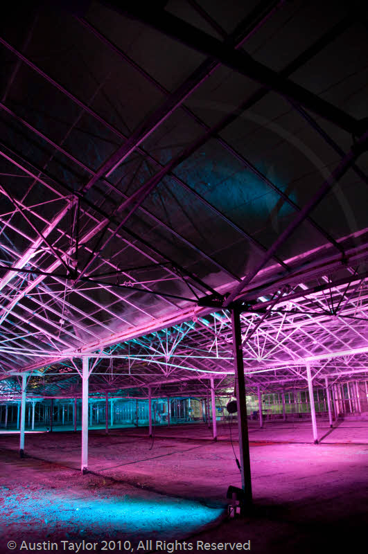 Mirrie Dancers Illuminations - Glasshouses, Tingwall