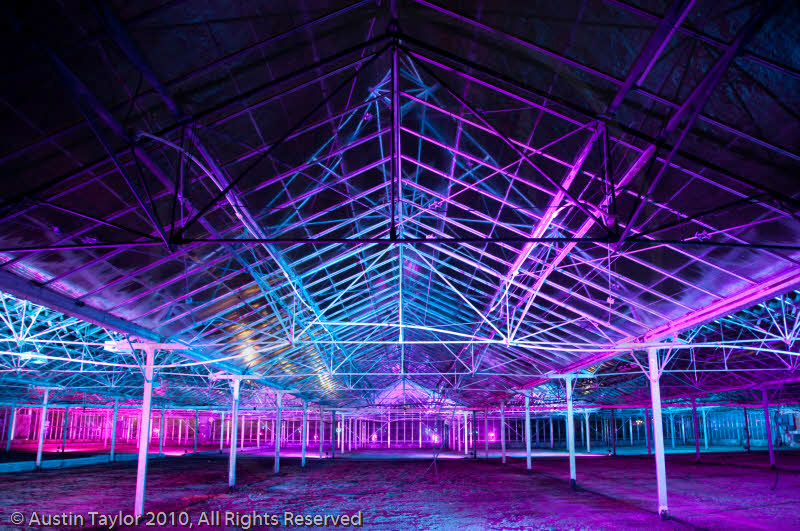 Mirrie Dancers Illuminations - Glasshouses, Tingwall