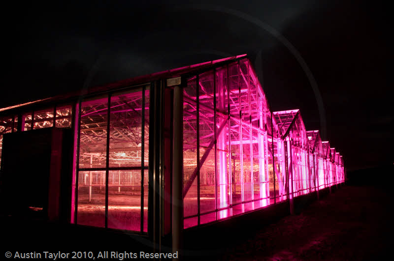 Mirrie Dancers Illuminations - Glasshouses, Tingwall