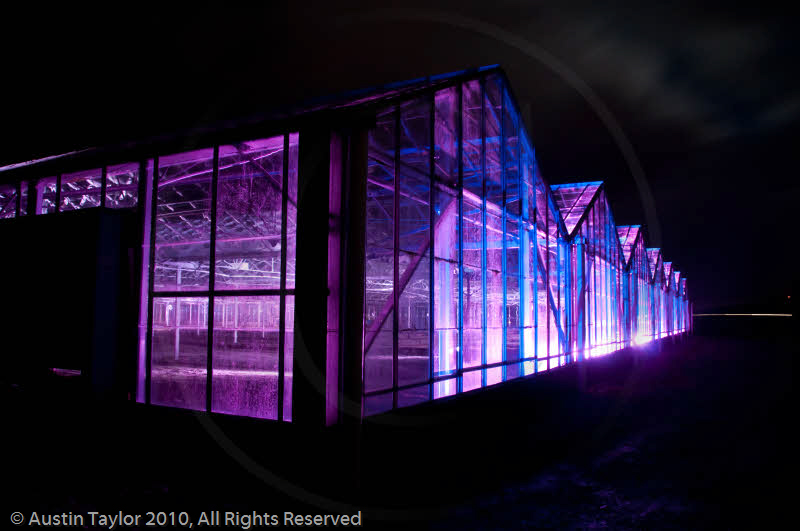 Mirrie Dancers Illuminations - Glasshouses, Tingwall