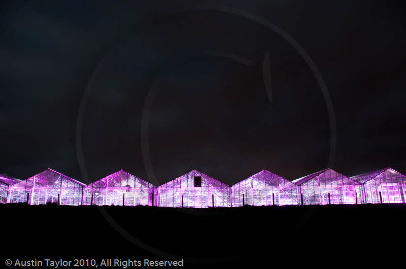 Mirrie Dancers Illuminations - Glasshouses, Tingwall