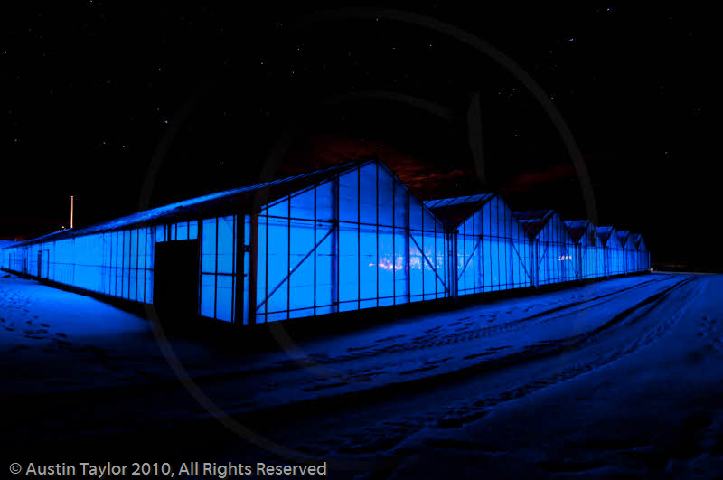 Mirrie Dancers Illuminations - Glasshouses, Tingwall