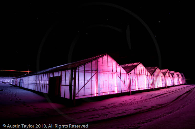 Mirrie Dancers Illuminations - Glasshouses, Tingwall