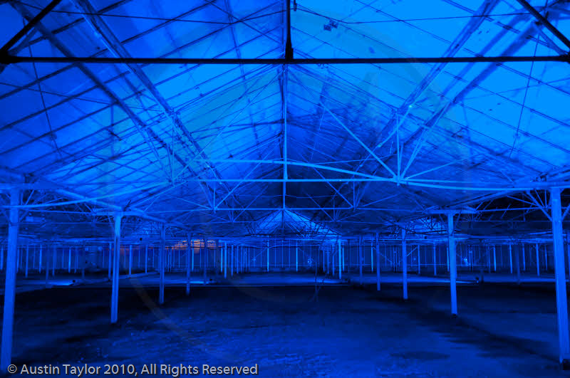 Mirrie Dancers Illuminations - Glasshouses, Tingwall