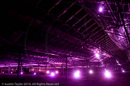 Mirrie Dancers Illuminations - Glasshouses, Tingwall