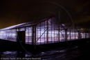 Mirrie Dancers Illuminations - Glasshouses, Tingwall