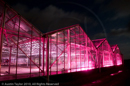 Mirrie Dancers Illuminations - Glasshouses, Tingwall
