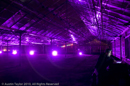 Mirrie Dancers Illuminations - Glasshouses, Tingwall