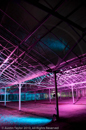 Mirrie Dancers Illuminations - Glasshouses, Tingwall